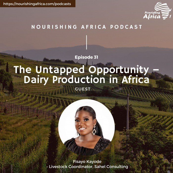 The Untapped Opportunity – Dairy Production in Africa